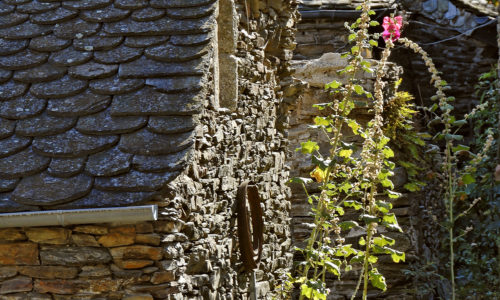 Extérieur gîte Gentiâne
