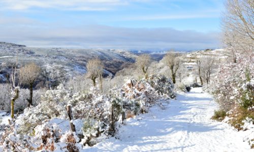 photo vu neige imprimerie des 4