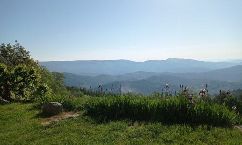 vue depuis le jardin